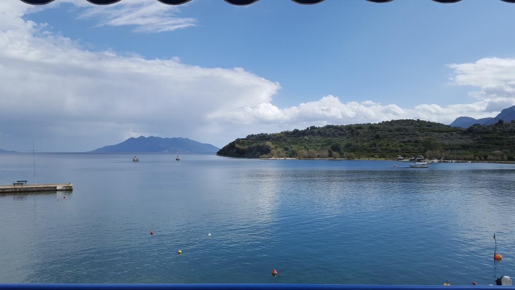 Mike Epidaurus