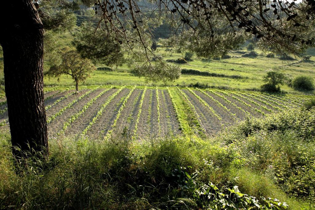 Lithies Farm