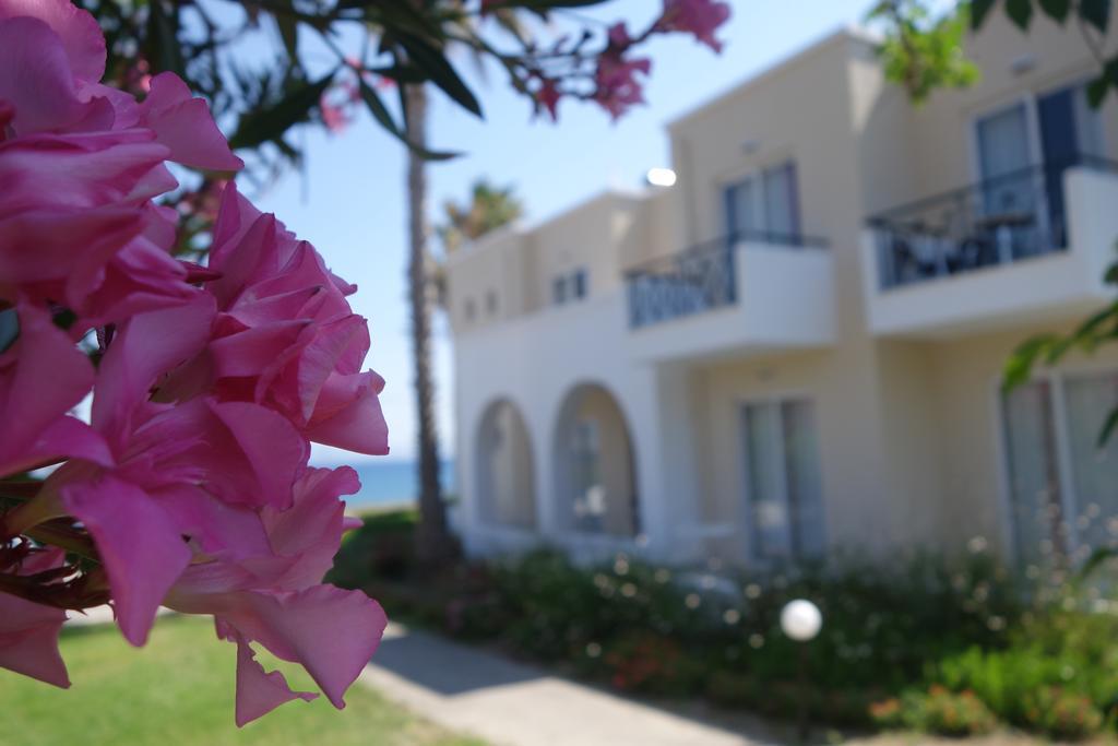 Andromeda Psalidi (Kos)
