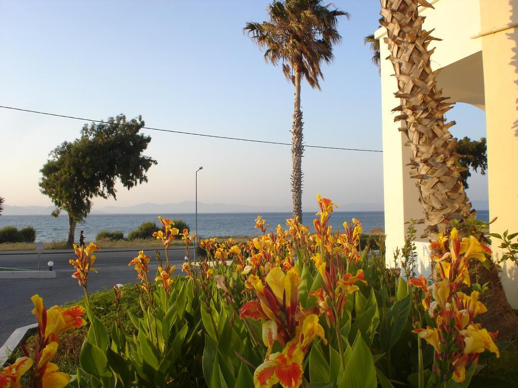 Andromeda Psalidi (Kos)
