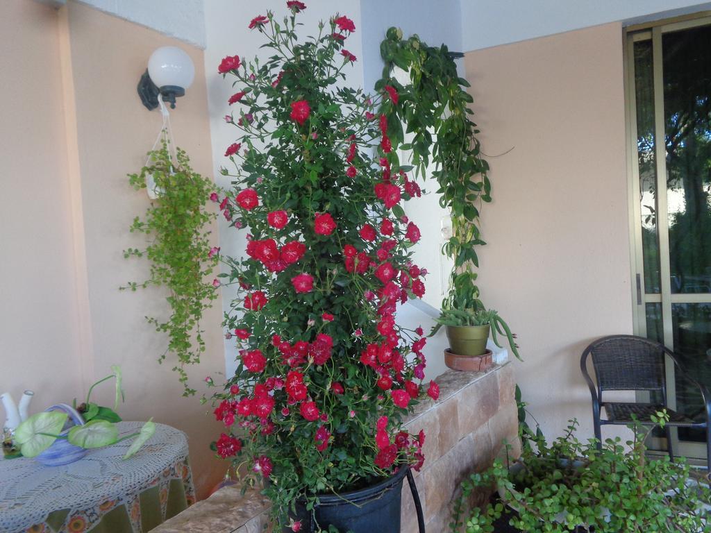 Hotel Angela Agia Marina (Aegina)