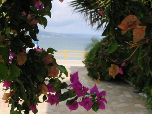 Kefalonia Seaside Stays Fanari Apartment