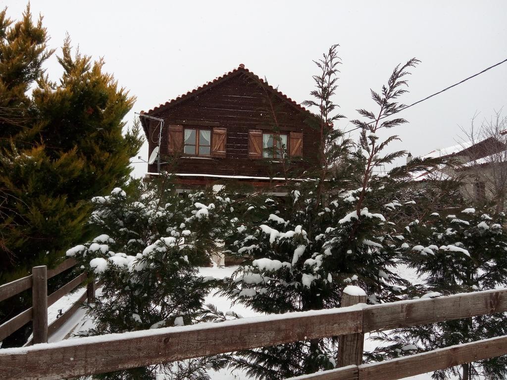Holiday home Houses Arachova