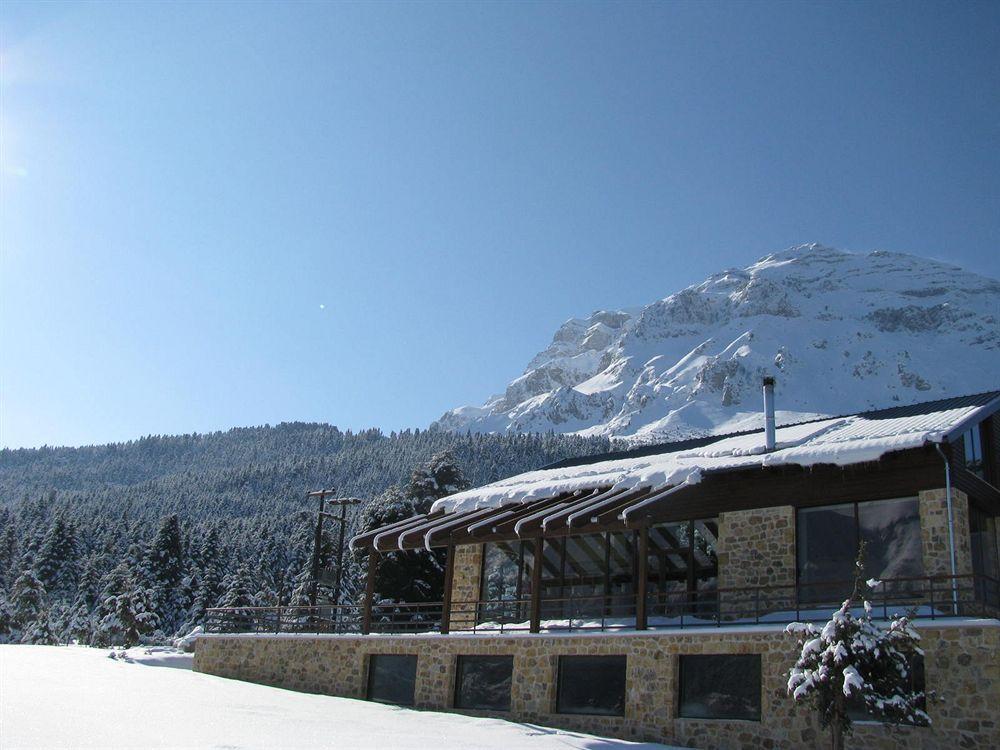 Hotel Orizontes Tzoumerkon 5*