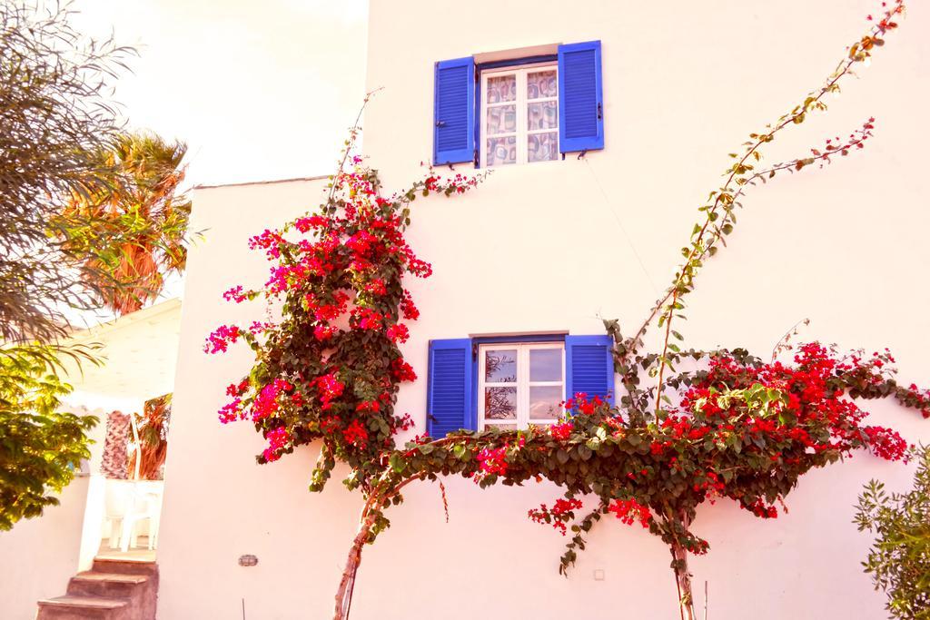 Aggelos Agios Prokopios (Naxos)