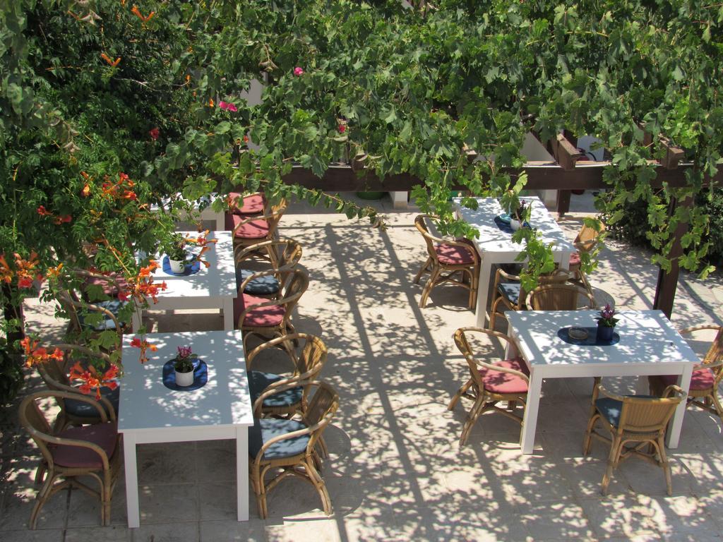 Seagull Apartment Agios Fokas (Kos)