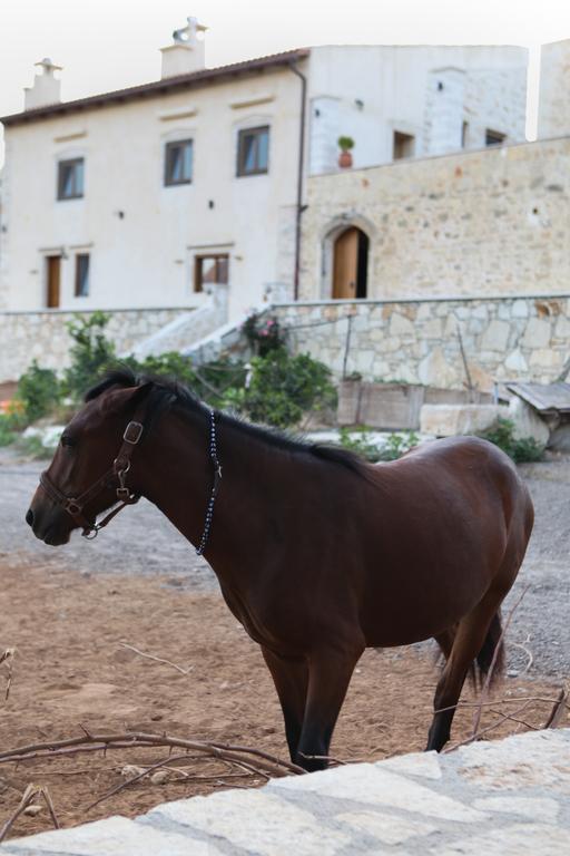Holiday park Zouridi Park Rethymno (Crete)