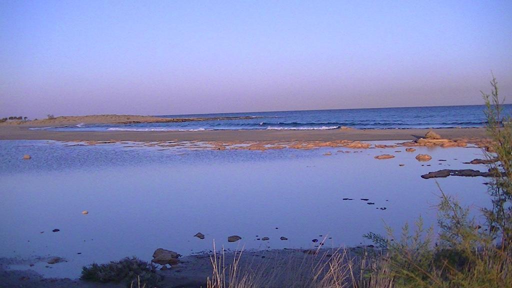 Liviko View *