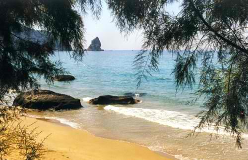 Golden Nests * Agios Gordios (Corfu)