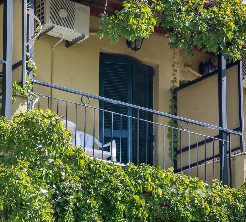 Golden Nests Apartment