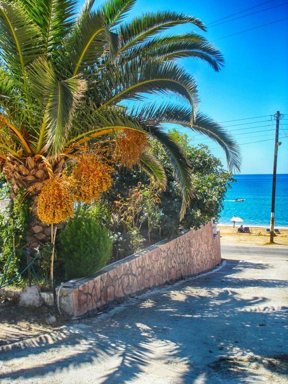 Apartment Vistonia Agios Georgios Pagon