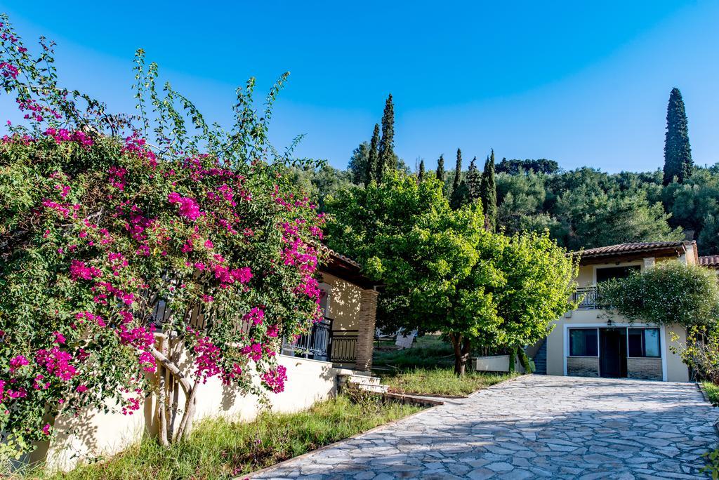 Small Village Zakynthos Town
