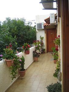 Guest house Electra 3*