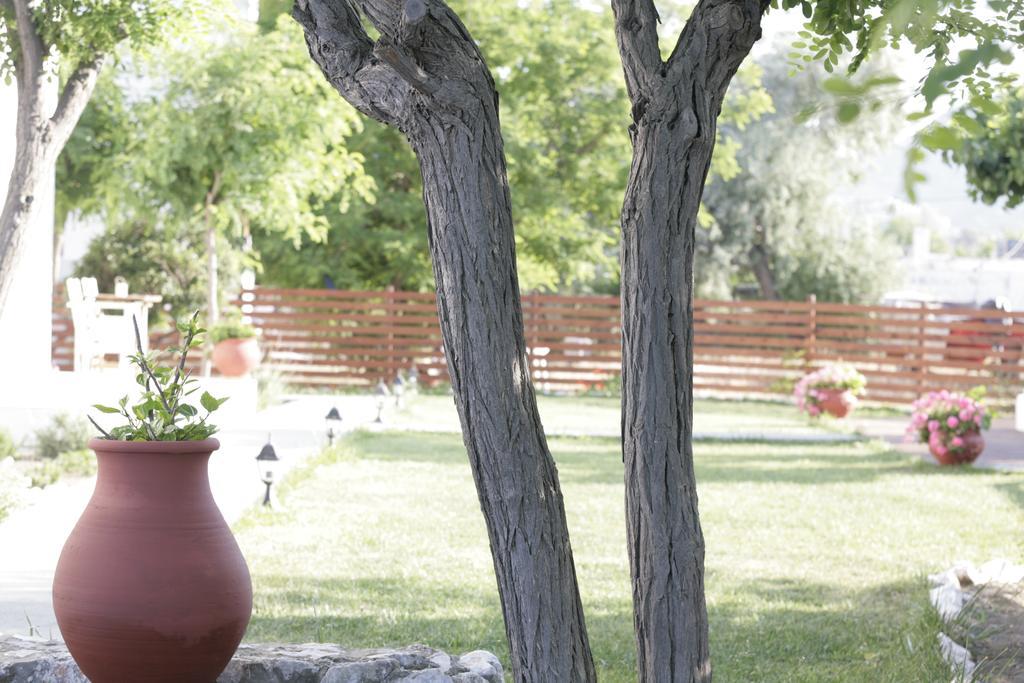 Apartment Asterias *