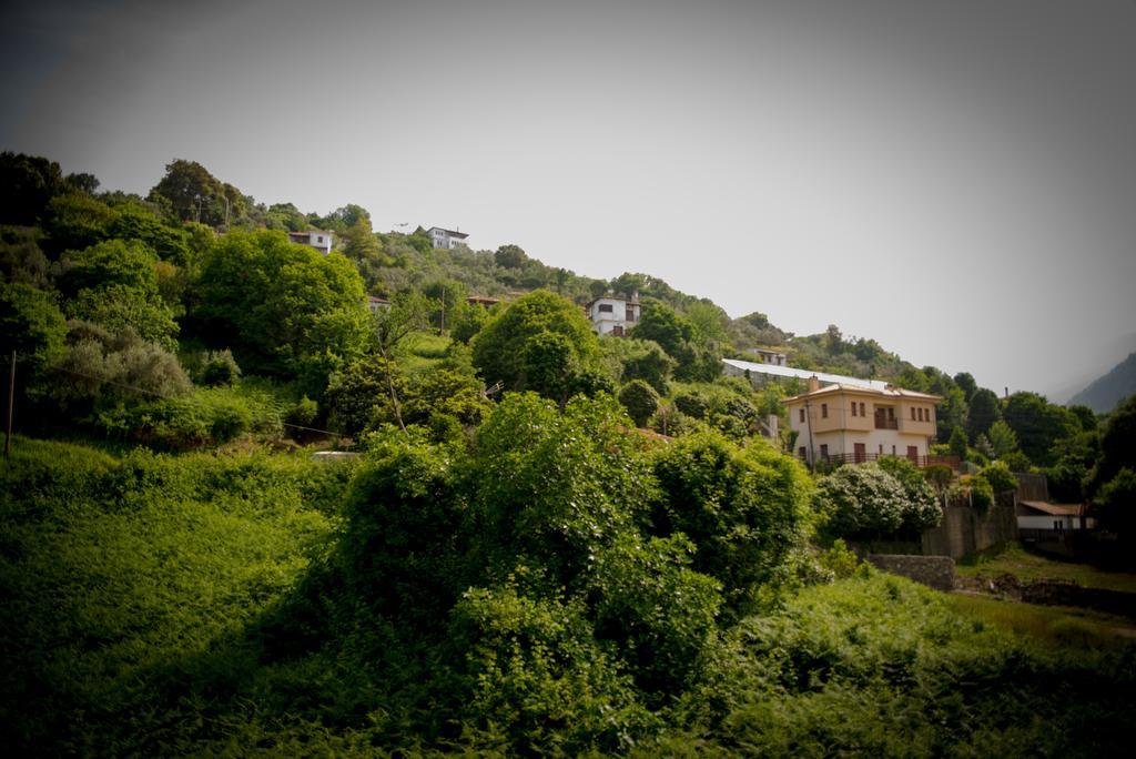 Eleni Apartment Agios Ioannis (Thessaly)