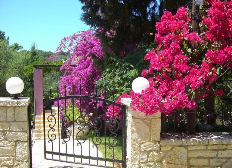 Kika * Sivota (Epirus)