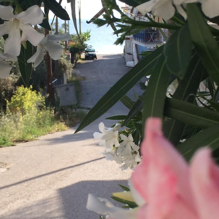 To Perigiali Apartment *