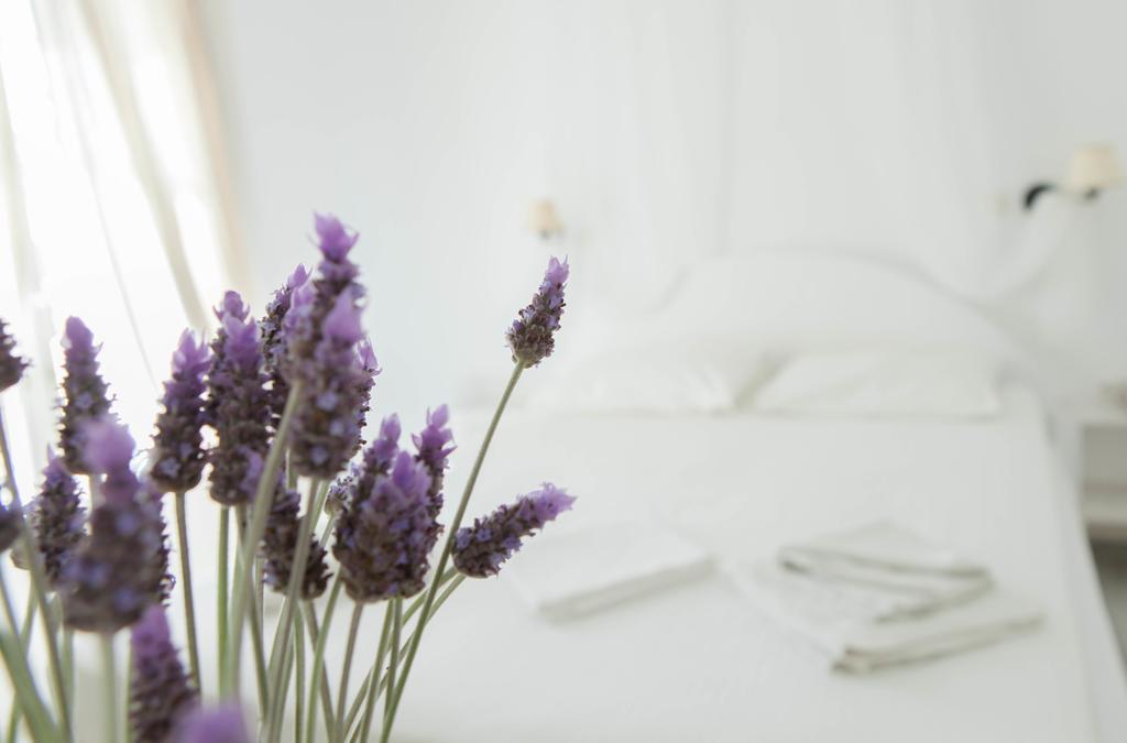 Begleri Hotel Antiparos
