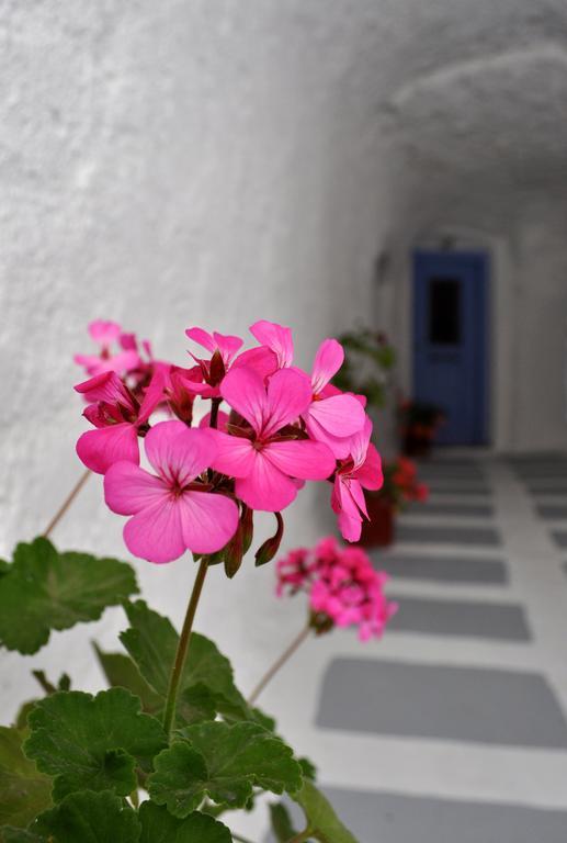 Mastiha House