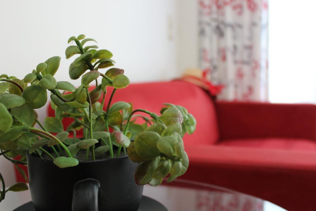 Filmar Hotel, Ixia, Rhodes Hotel 3*