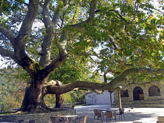 Guest house En Chora Vezitsa