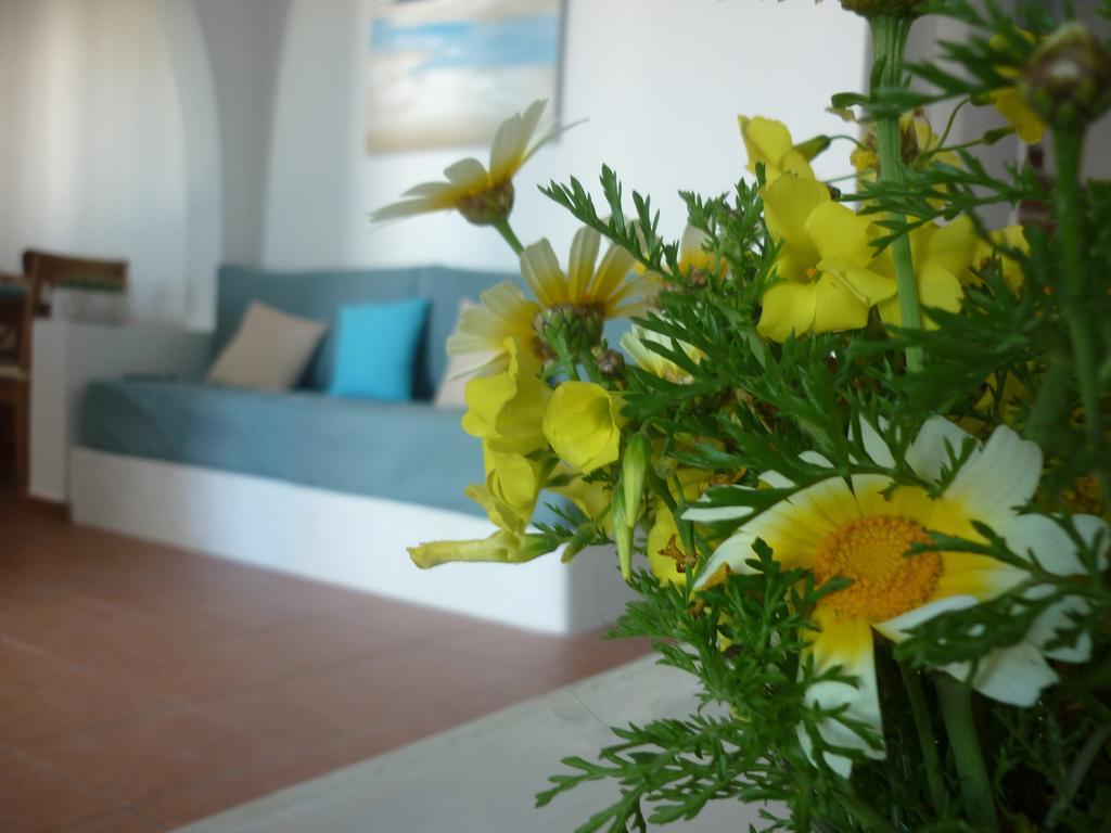 Aelia Santorini