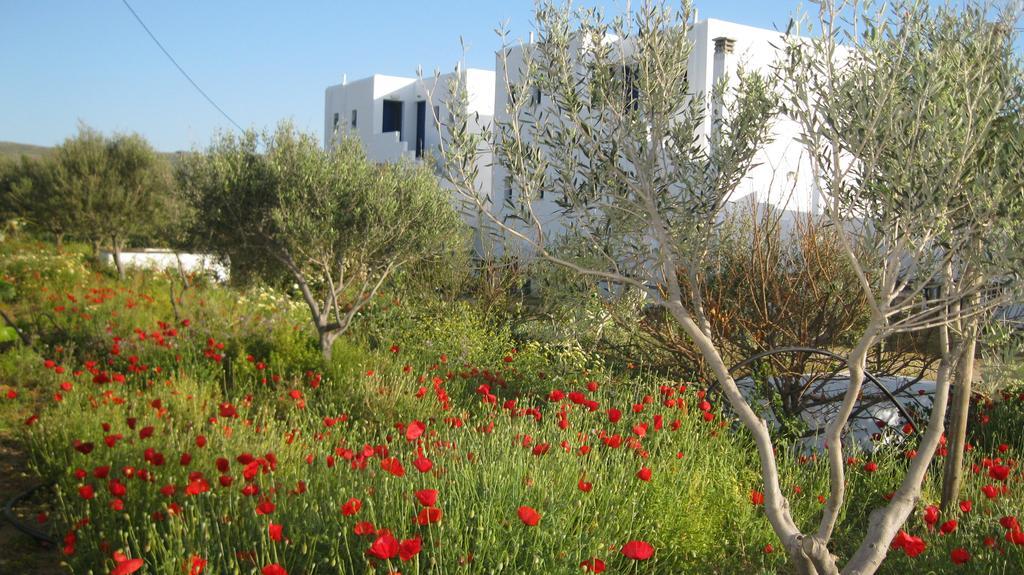 Aronis Naxos *