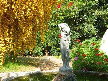Rita Tavronitis (Crete)