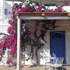 Apartment House