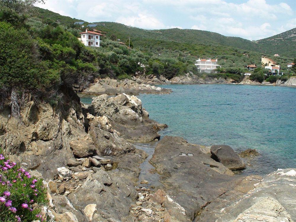 Assa Apartment Pyrgadikia