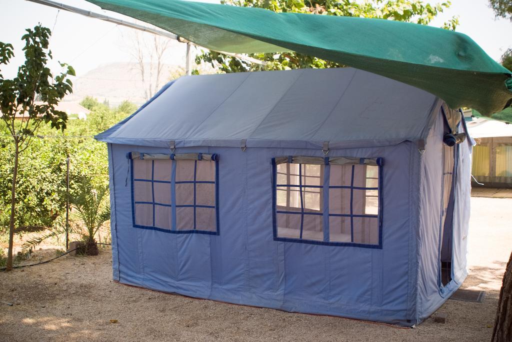 Xenicamp & * Tolo