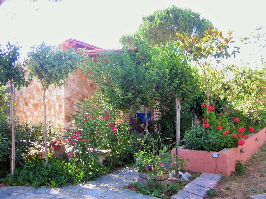 Artemis Vassilikos Aparthotel 3*