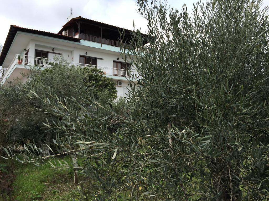Litsa Haus Estate Residences & - Adults Only & Kids 8 Plus- Apartment *