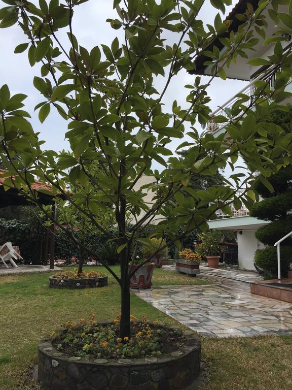 Litsa Haus Estate Residences & - Adults Only & Kids 8 Plus- *