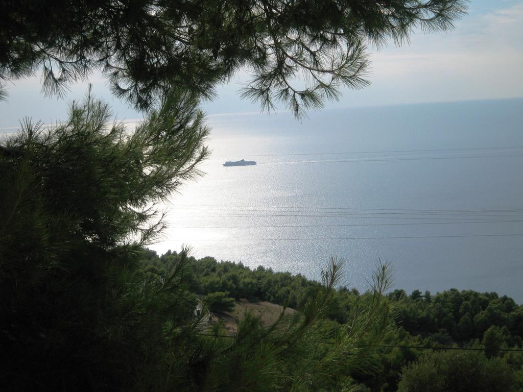 Apartment Porto Katsiki Blu Athanion