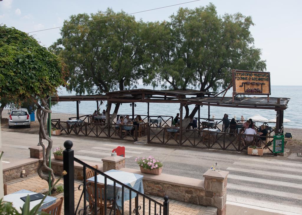 Morfoula * Vatera