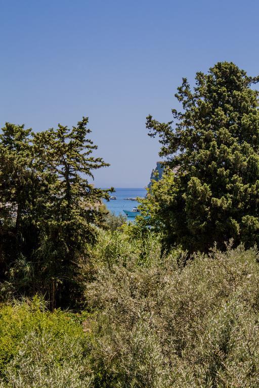 Alpha Stegna Sun Archangelos (Rhodes)