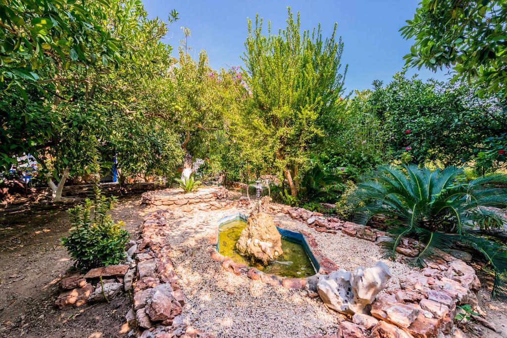 Alpha Stegna Sun Guest house Archangelos (Rhodes)