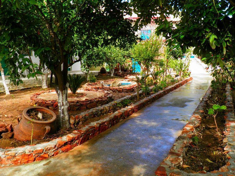 Alpha Stegna Sun Guest house 2*