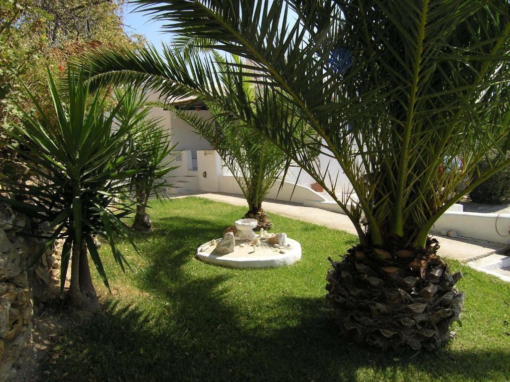 Studiocalypso * Lefkes (Paros)