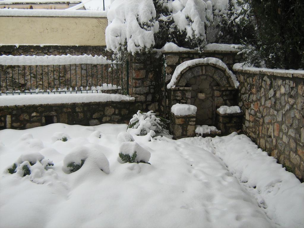 Filoxenia Apartment Levidhion