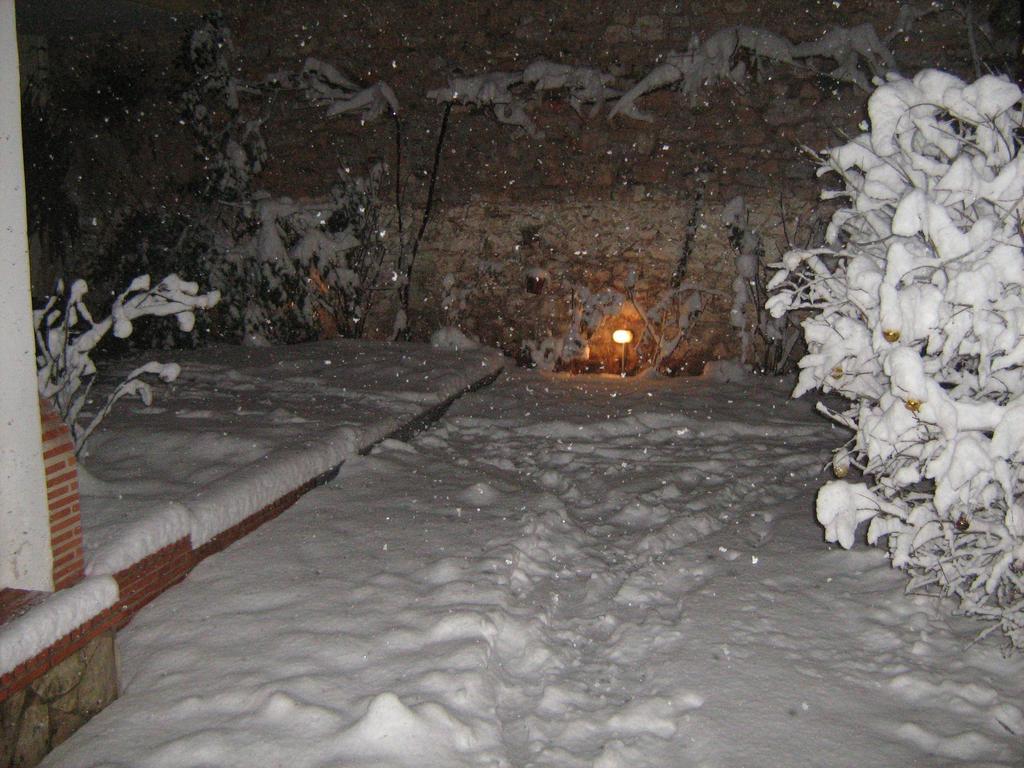 Filoxenia