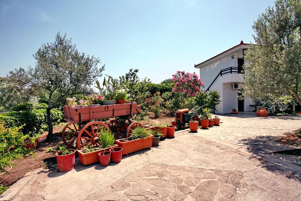 Pela Hotel Skala Kallonis