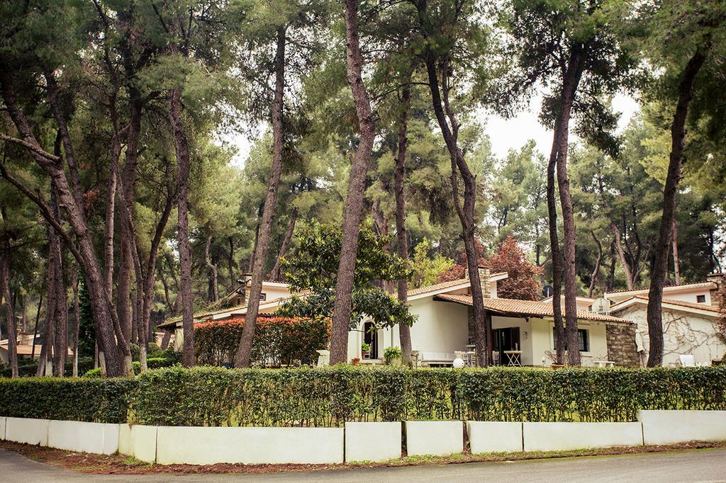 Kallisti In Sani Holiday home