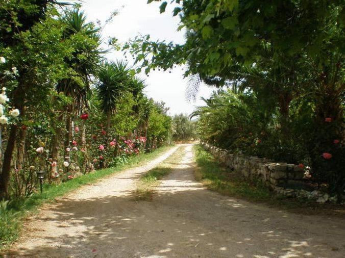 Sani Kasimis Apartment