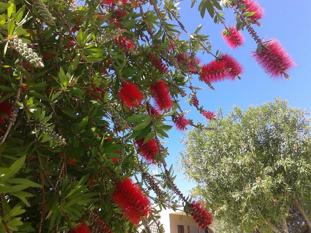 Aggelos Kefalonia *