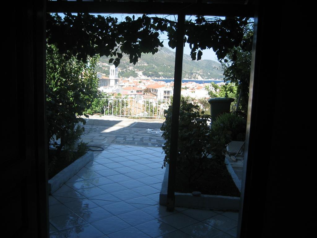 Kamelia * Kokkari