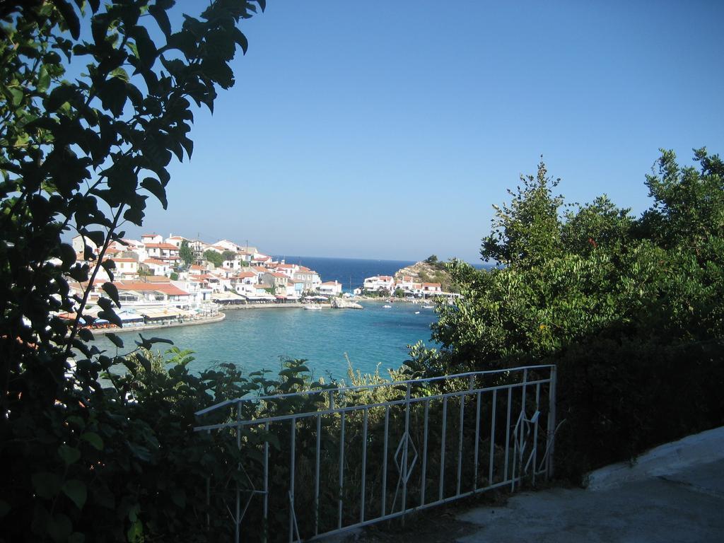 Kamelia Apartment Kokkari
