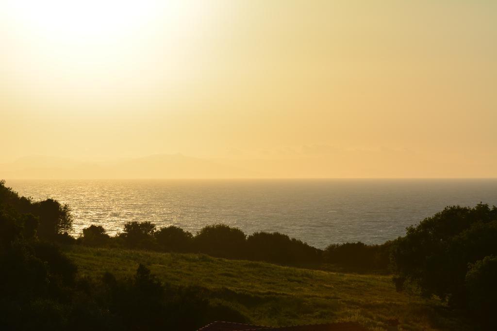 Panorama *