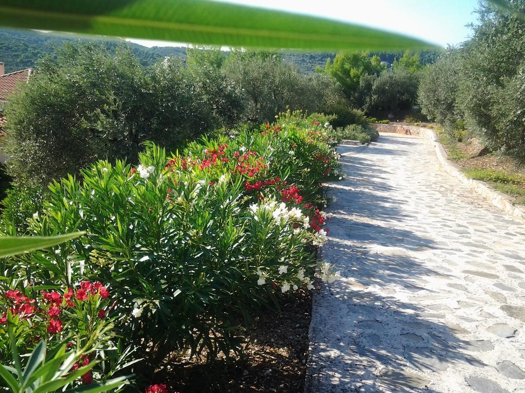 Elies Villa Agnontas